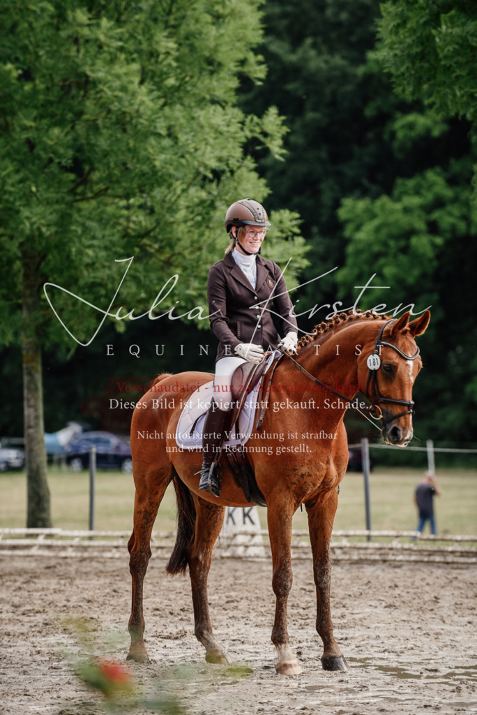 DSC_9661 | Pferde- und Turnierfotografie in Westsachsen. Pferdeportraits, Auftragszeichnungen und intuitive Kunst.