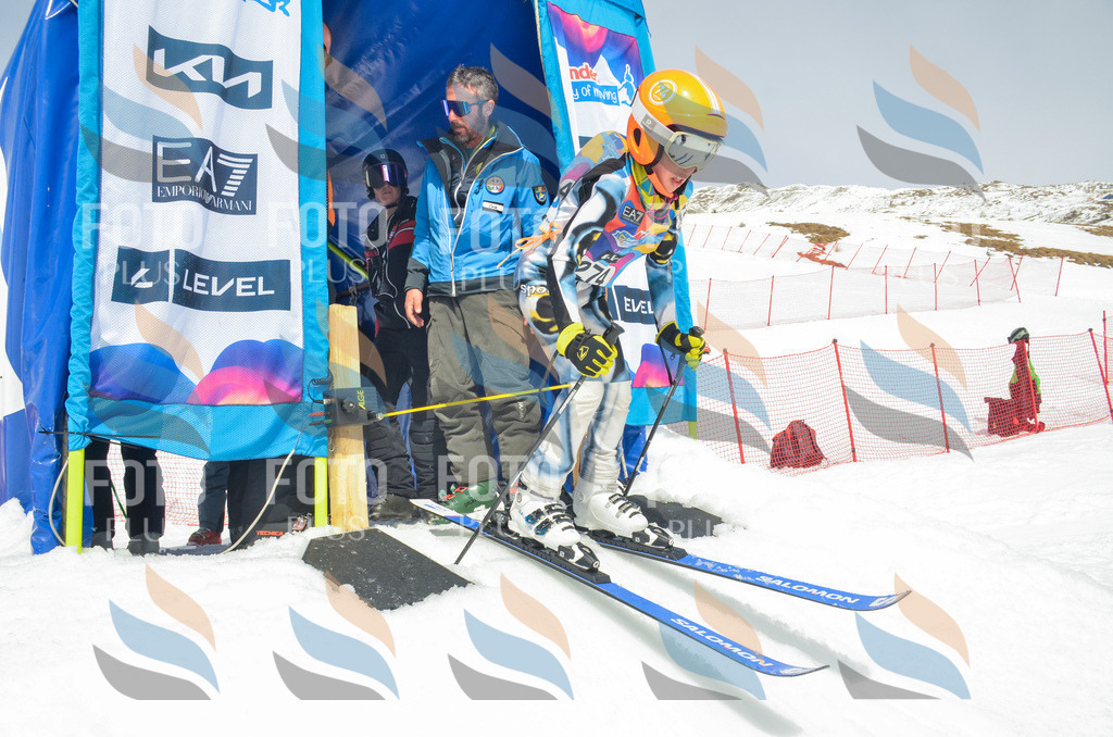 _ELE7846 | holidayphoto