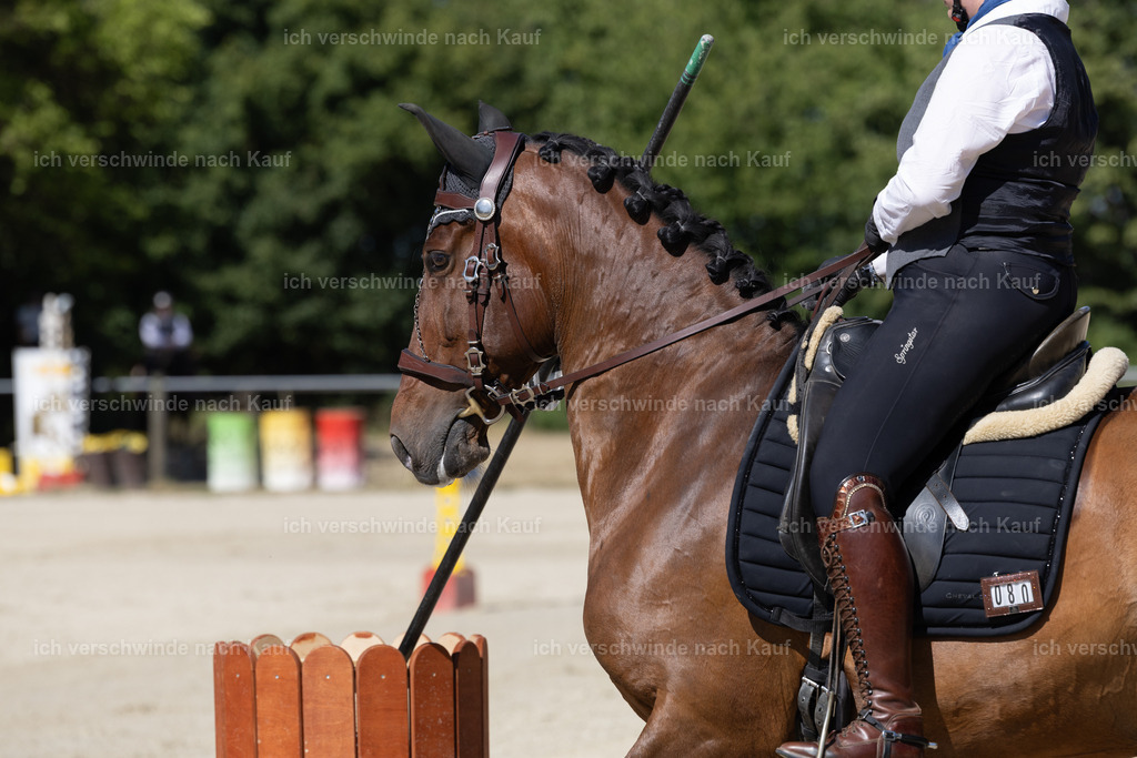 WE_Trail_80_KerstinBernhardt-11 | working equitationturnier fotograf videograf stoibphotography marixx film working equitation deutschland reitsport turnierfotografie eventfotografie equestrian events