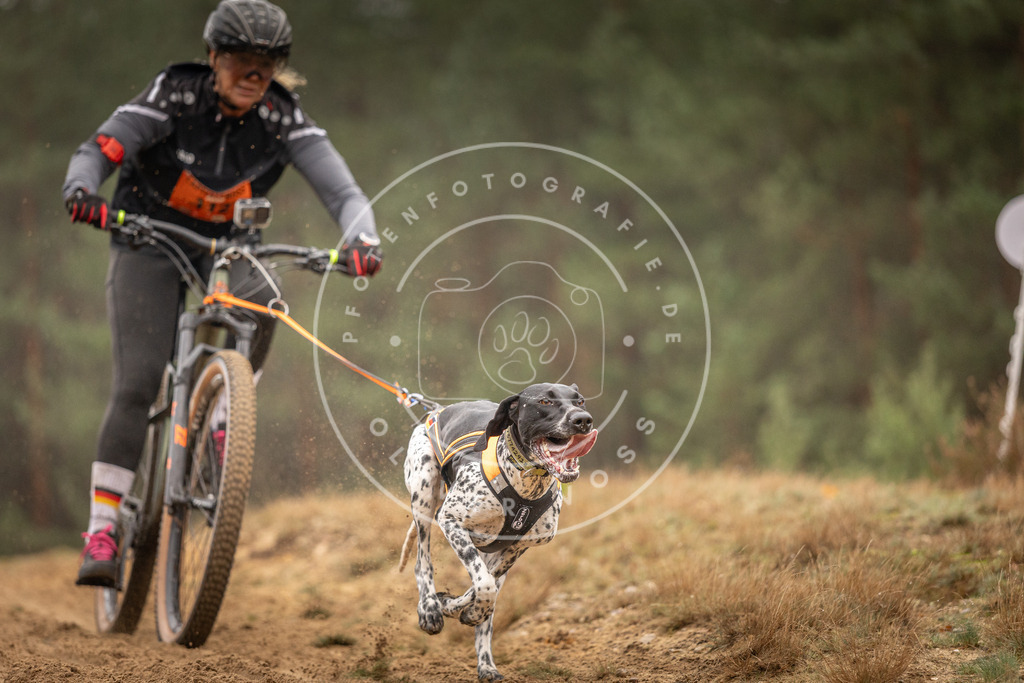 Pfotenfotografie_DV3A3387 | Hundefotografie, Tierfotograf, Pfotenfotografie, Fotoshooting Hund, Hunde Portrait, Hundesport, Hundeportraits, Heideshooting, Hunde, Sportfotograf, Hundefotograf, Turnierhundsport, THS,  - Realisiert mit Pictrs.com