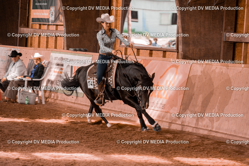 NE300742 | dv-media-shop - Realisiert mit Pictrs.com