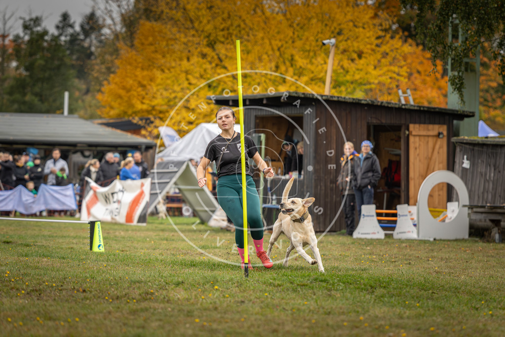 Pfotenfotografie_DV3A3123 | Hundefotografie, Tierfotograf, Pfotenfotografie, Fotoshooting Hund, Hunde Portrait, Hundesport, Hundeportraits, Heideshooting, Hunde, Sportfotograf, Hundefotograf, Turnierhundsport, THS,  - Realisiert mit Pictrs.com