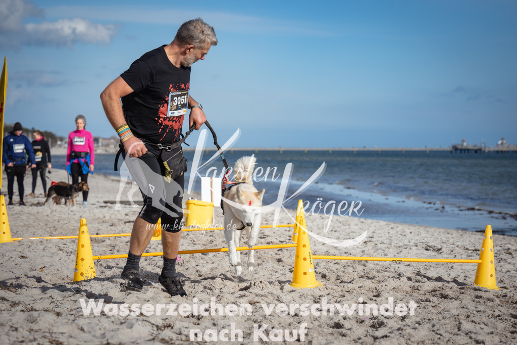 1345_ZZ93208 | kk-dogfotos