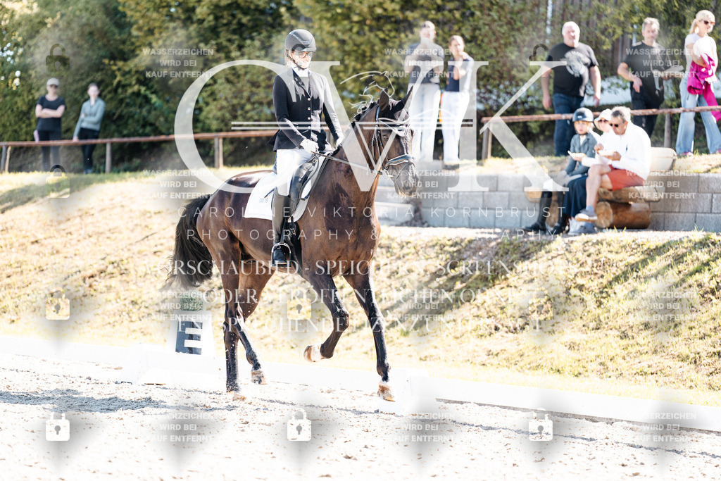 CK909410 | Turnierfotografie Pferdefotografie Trier Rheinland-Pfalz Pferdesport Reitsport Tierfotografie Sportfotografie Pferdevideo Pferdevideografie Equestrianvideography equestrianphotography  - Realisiert mit Pictrs.com