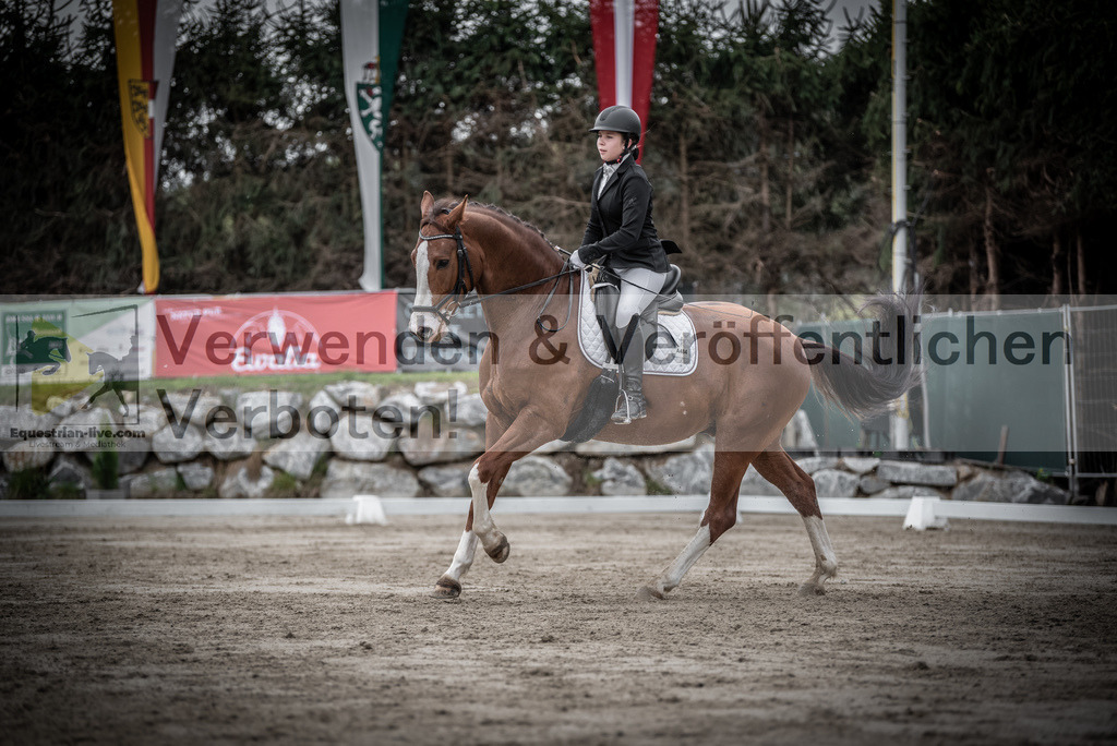 DSC_9660 | equestrian-live-com