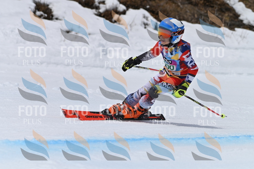 BGV_3862 | holidayphoto