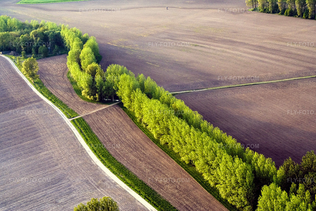 Aerial view: A row of trees along a country road at the edge of a field in Biblisheim in the state Bas-Rhin, France.Photo: IMG_10670.jpg taken on 05/04/2008 by Werner Riehm/FLY-FOTO.comResolution of the original: 3456 x 2304 px