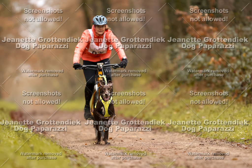 Dog Paparazzi - Speedhunter Mannheim  2025-3 | Dog Paparazzi Jeanette Grottendiek Fotografie & Videografie