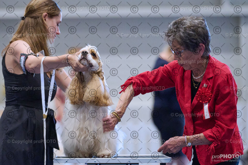 202406_ÖKV-IHA-Tulln24_DSC_4470 | proPHOTO - Realisiert mit Pictrs.com