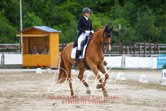 DKP47959 | Turniersportfotografie; Pferdefotografie; Dressurfotografie