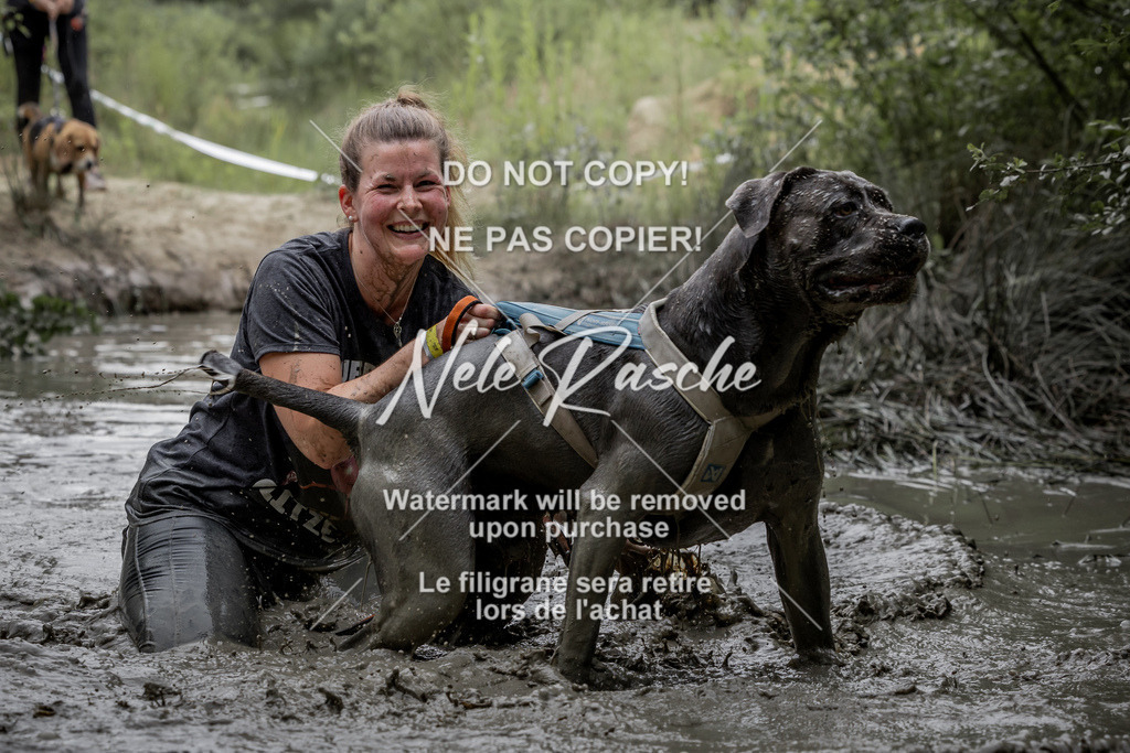 nelerasche_so1445-1515_425 | nelerasche
