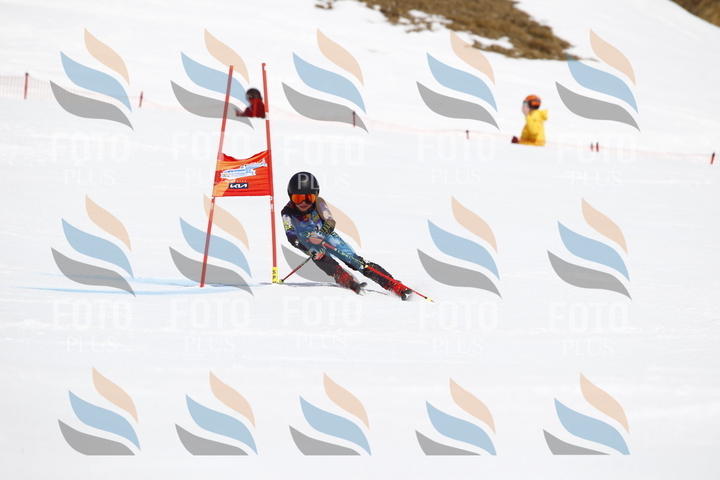 _U3G5665 | holidayphoto