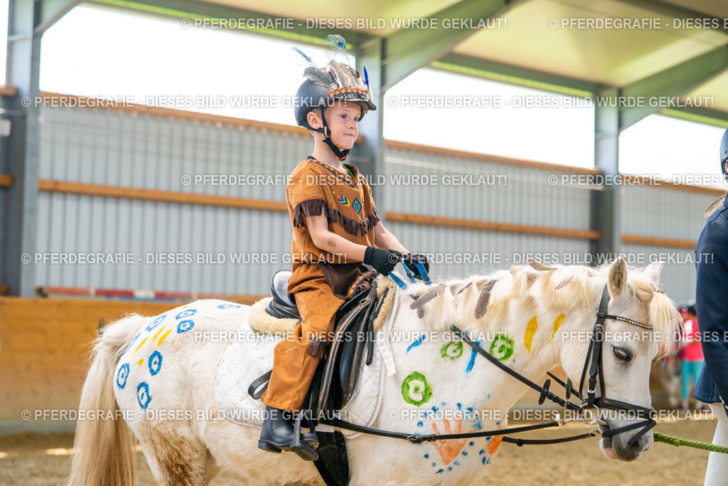 DSC00082 | Pferdegrafie