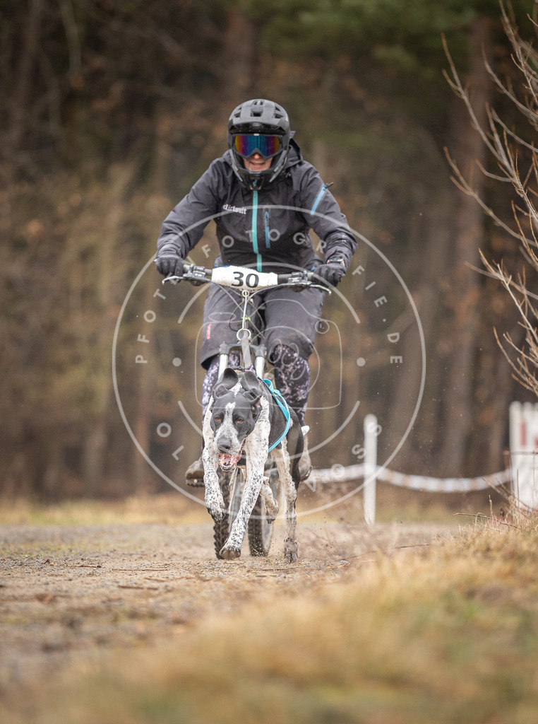 DV3A3290 | Hundefotografie, Tierfotograf, Pfotenfotografie, Fotoshooting Hund, Hunde Portrait, Hundesport, Hundeportraits, Heideshooting, Hunde, Sportfotograf, Hundefotograf, Turnierhundsport, THS,  - Realisiert mit Pictrs.com