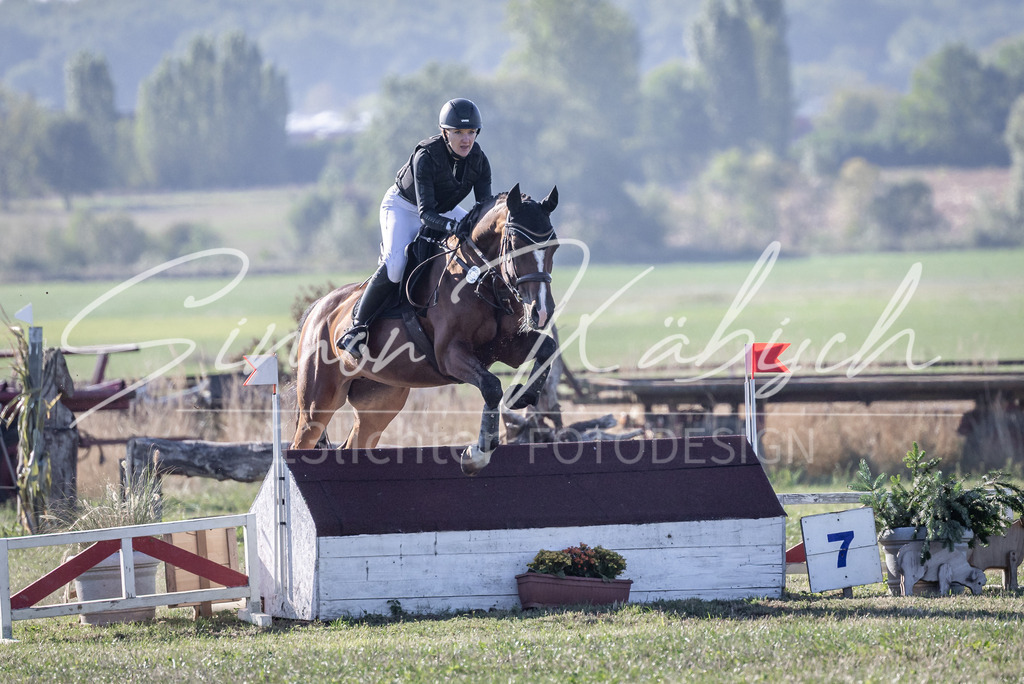 20260906-_3LI1587 | Tierfotografie Pferde, Hunde, Katzen, Haustiere.
Turnierfotografie Reitturniere, Reiten, Springreiten, Dressur in Hanau, dem Main-Kinzig-Kreis und dem Rhein-Main- Gebiet um Frankfurt