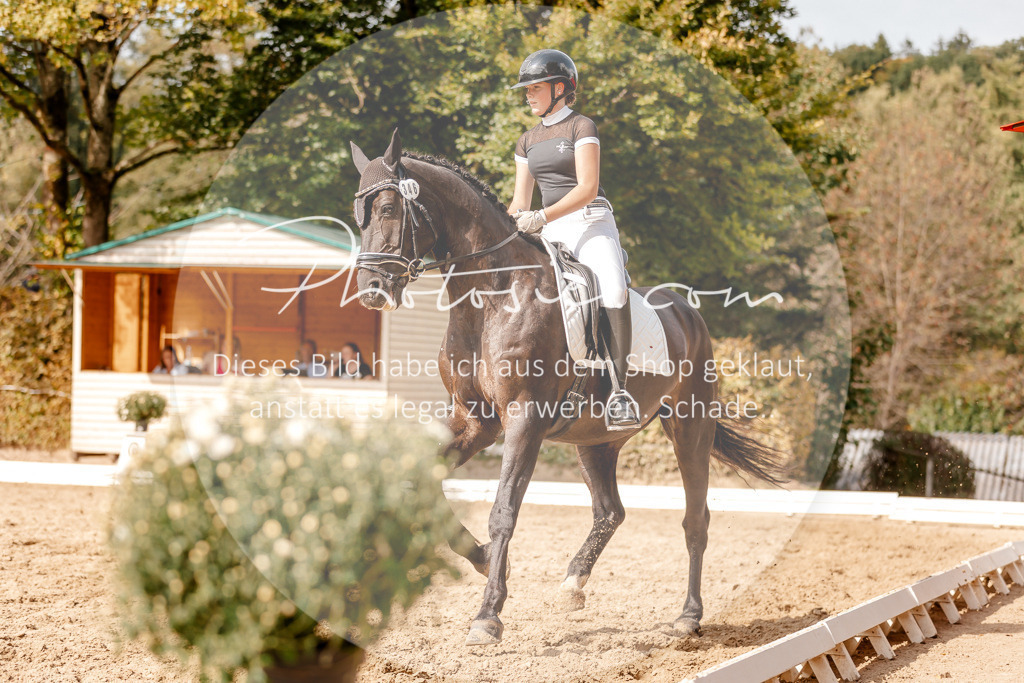 3I6A4024 | Stimmungsvolle Portraits und Reitsportfotografie im Ruhrgebiet und im Münsterland.

Pferdefotografie, Hundefotografie, Tierfotografie, Reportagen, Portraits von Tier und Mensch, Turnierfotografie in Bochum, Recklinghausen, Marl, Haltern am See, Dülmen.. - Realisiert mit Pictrs.com