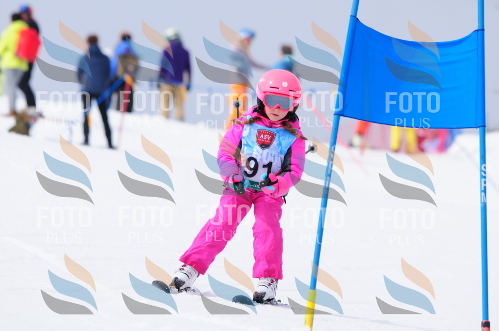 A3785 | holidayphoto