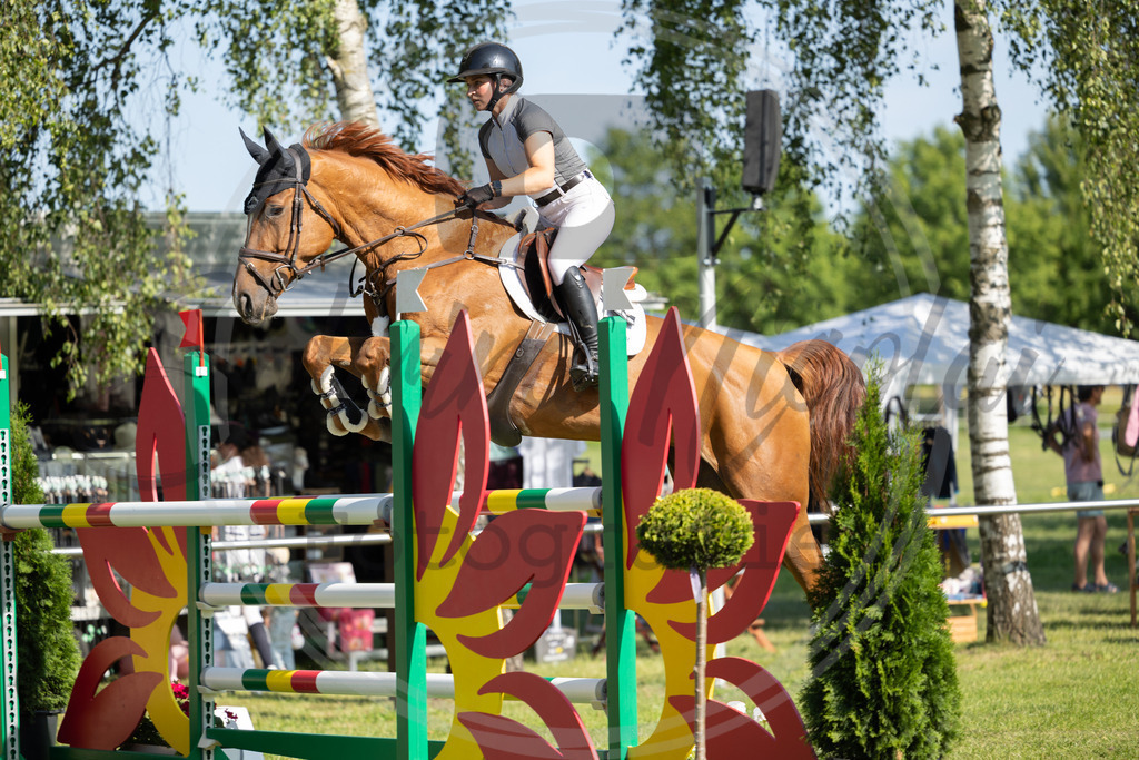 994A3266 | sabrinanicolaifotografie - Realisiert mit Pictrs.com