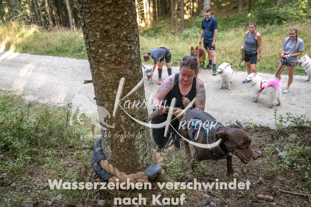 0951_ZZ93464-DeNoiseAI-low-light | kk-dogfotos