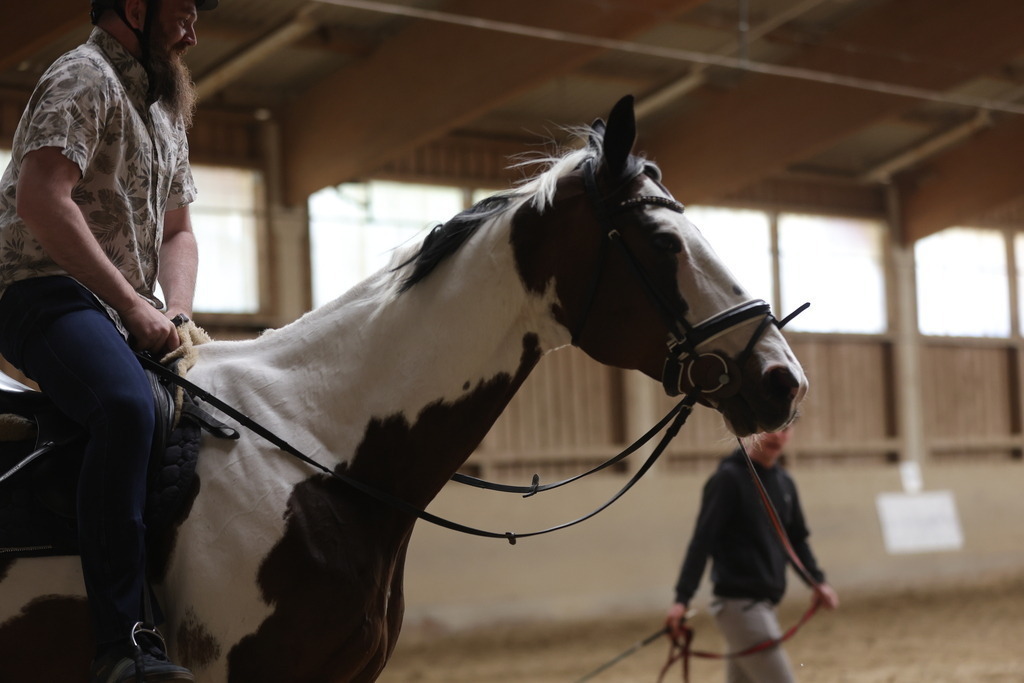 0P6A9074 | Willkommen bei Brunnmayr - Design & Fotografie – Ihrem Spezialisten für Reitturniere und Pferdeveranstaltungen in Oberösterreich, Salzburg und Bayern! Seit über 17 Jahren sind wir leidenschaftlich dabei.