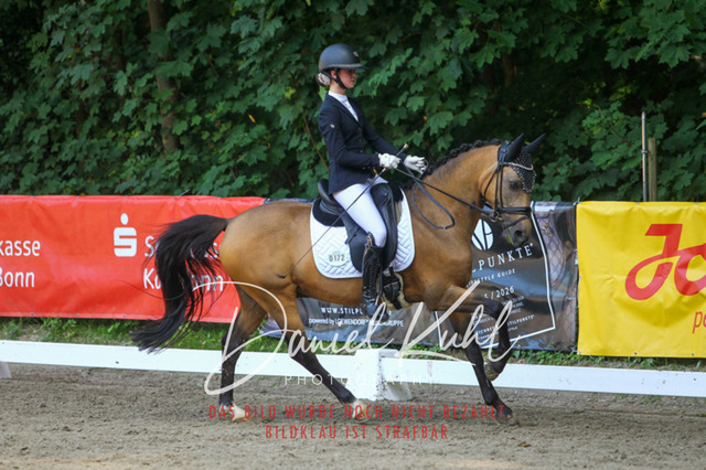 DKP42957 | Turniersportfotografie; Pferdefotografie; Dressurfotografie