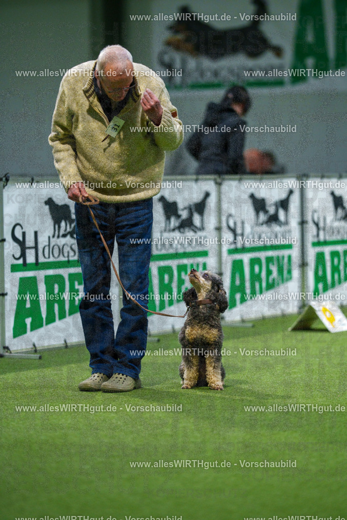 7R505704 | Professionelle Tierfotografie in Mönchengladbach von Daniel Wirth (allesWIRTHgut). Liebevolle & natürliche Bilder von Hunden & Katzen für unvergessliche Erinnerungen.