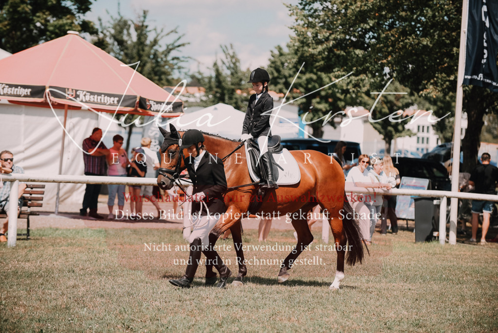DSC_6094 | Pferde- und Turnierfotografie in Westsachsen. Pferdeportraits, Auftragszeichnungen und intuitive Kunst.