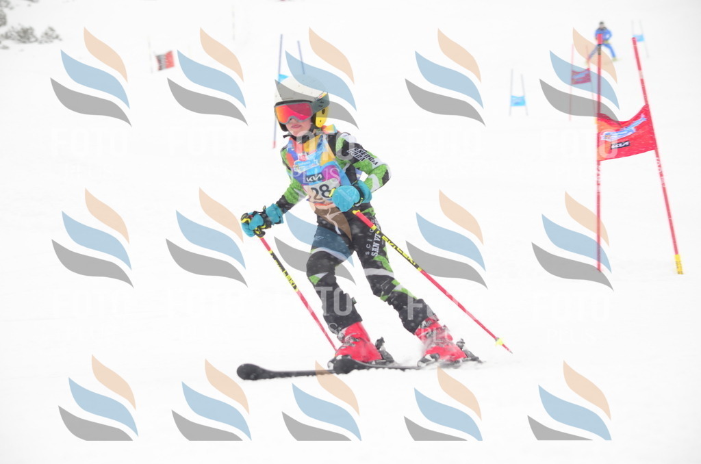 C0743 | holidayphoto