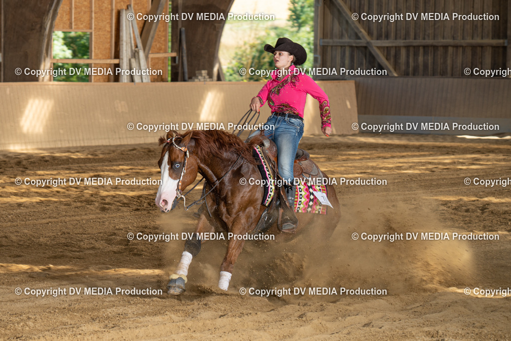 DSC00429 | dv-media-shop - Realisiert mit Pictrs.com