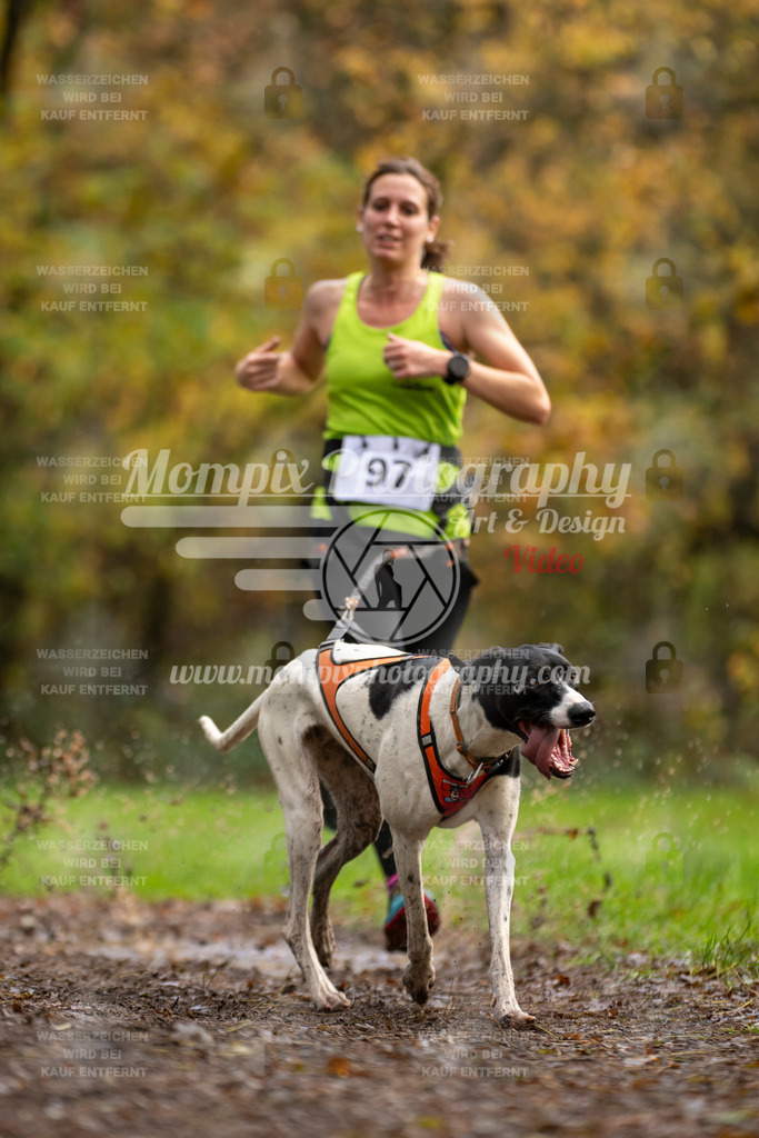 MompixPhotography_Bischwiller23_Canicross-42 | PayLife