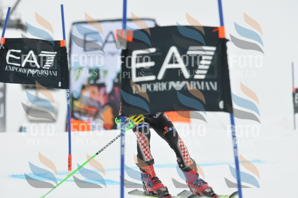 DSC_7867 | holidayphoto