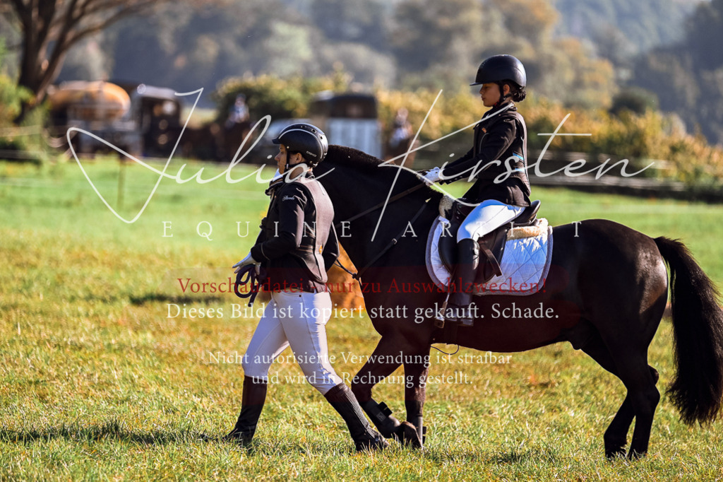 DSC_0385 | Pferde- und Turnierfotografie in Westsachsen. Pferdeportraits, Auftragszeichnungen und intuitive Kunst.