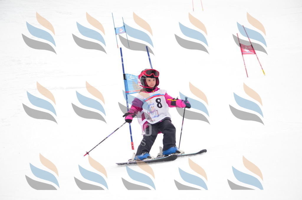 B9852 | holidayphoto