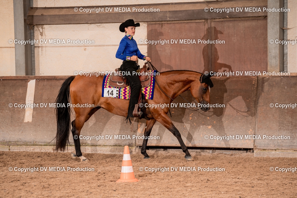 LM Heiligenwald Tag 1-1615 | dv-media-shop - Realisiert mit Pictrs.com