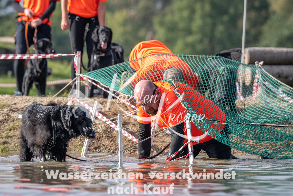 1145_ZZ93892 | kk-dogfotos