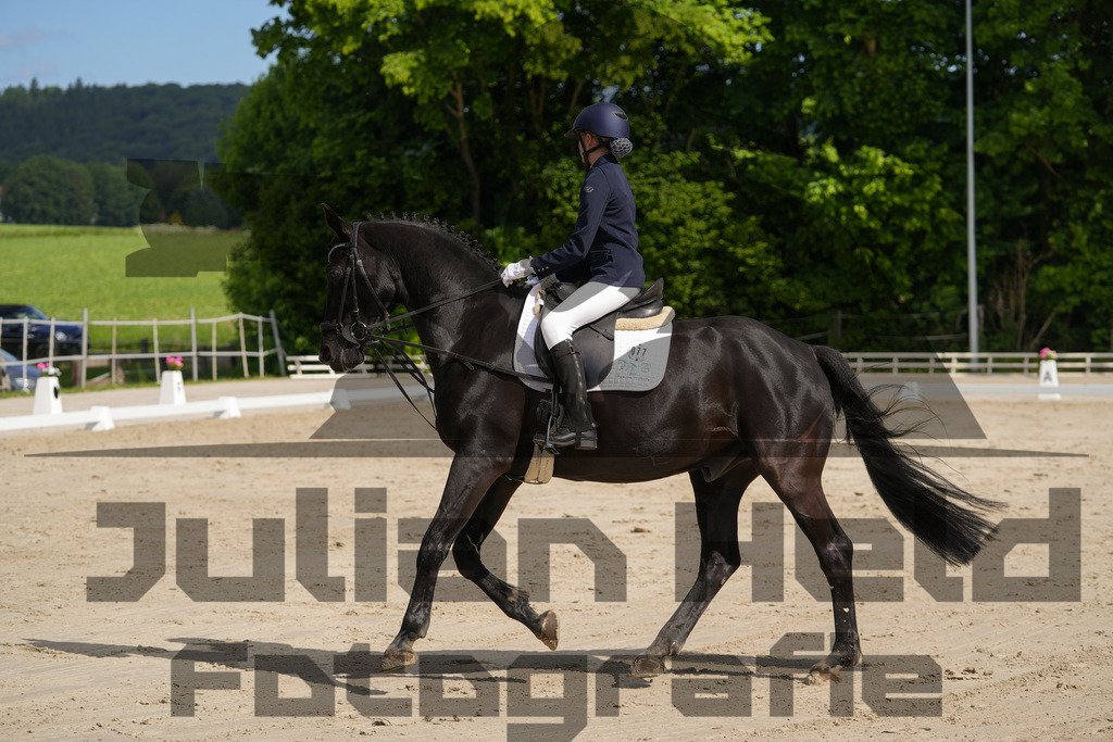 DSC03108 | Julian Held Fotografie - Realisiert mit Pictrs.com