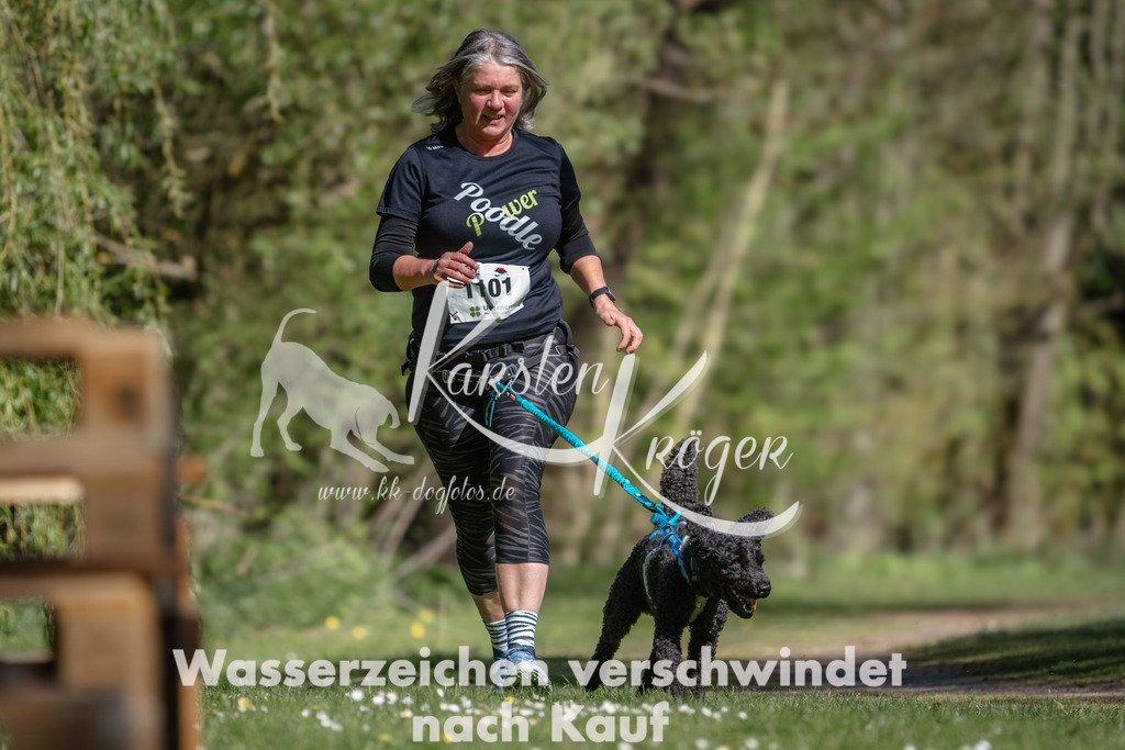 1034DZ6_4021 | kk-dogfotos