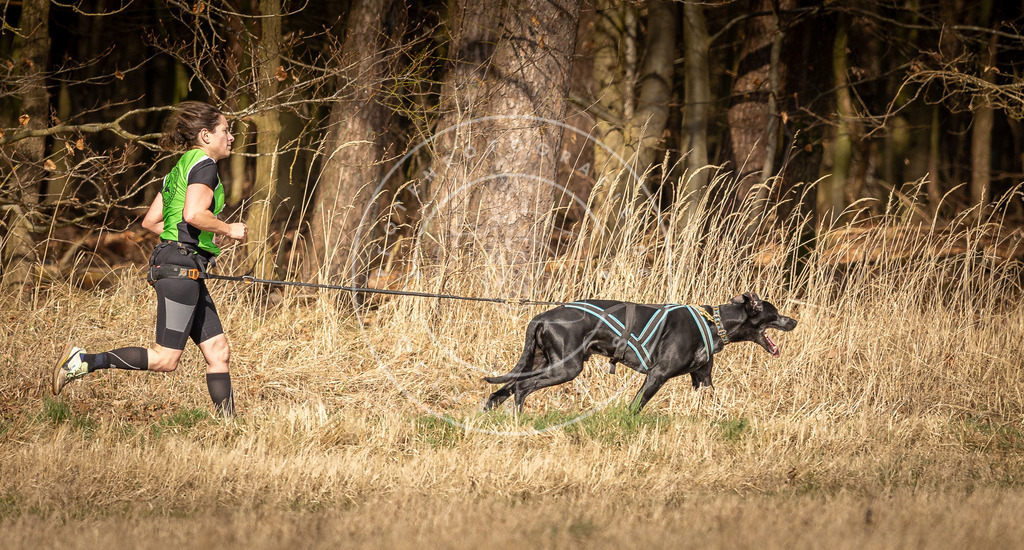 DV3A5419 | Hundefotografie, Tierfotograf, Pfotenfotografie, Fotoshooting Hund, Hunde Portrait, Hundesport, Hundeportraits, Heideshooting, Hunde, Sportfotograf, Hundefotograf, Turnierhundsport, THS,  - Realisiert mit Pictrs.com