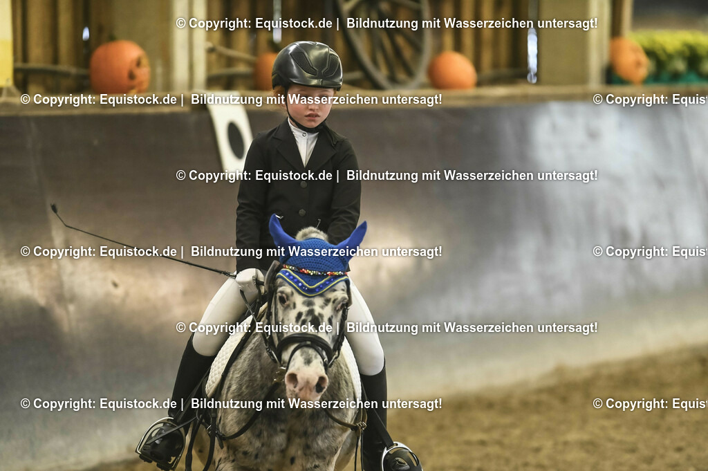 20231029_02_Reiter-WB_Schritt-Trab_Abteilung-03_0008 | Foto: Thomas Hartig