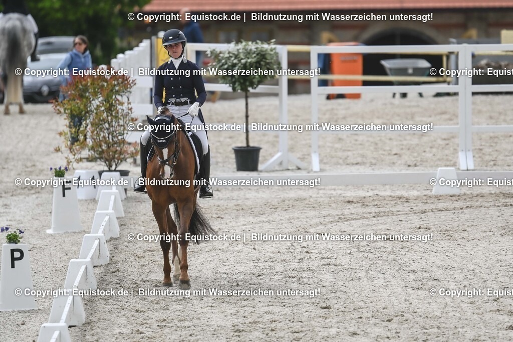 20250516_CCI2_Dressur_0564 | Foto: Thomas Hartig