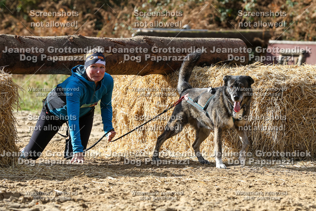 Dog Paparazzi - Strongdog 10-25-5562 | Dog Paparazzi Jeanette Grottendiek Fotografie & Videografie - Realisiert mit Pictrs.com