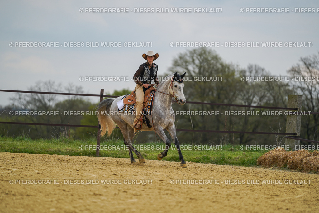 DSC07327 | Pferdegrafie