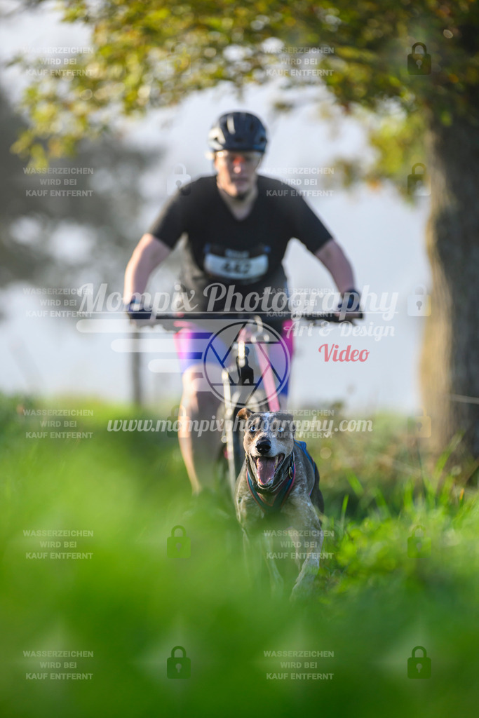 MompixPhotography_20TSB_E3_Bike-171 | PayLife
