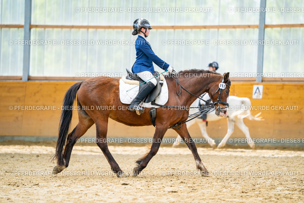 DSC00989 | Pferdegrafie