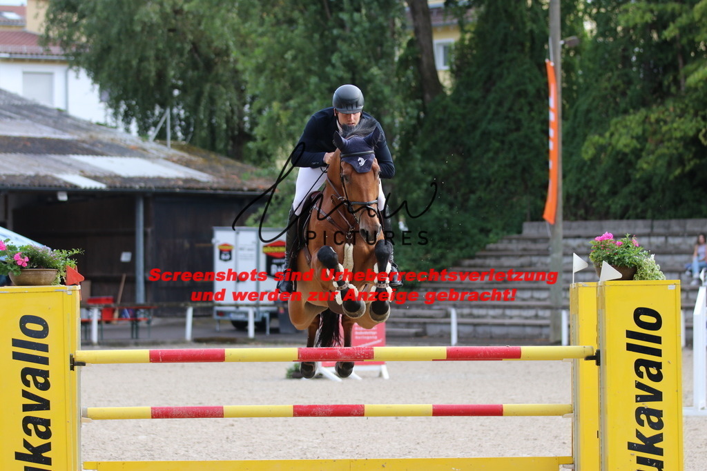 IMG_8569 | lmwpictures - Realisiert mit Pictrs.com