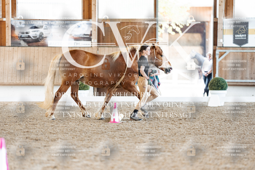 CK905932 | Turnierfotografie Pferdefotografie Trier Rheinland-Pfalz Pferdesport Reitsport Tierfotografie Sportfotografie Pferdevideo Pferdevideografie Equestrianvideography equestrianphotography  - Realisiert mit Pictrs.com