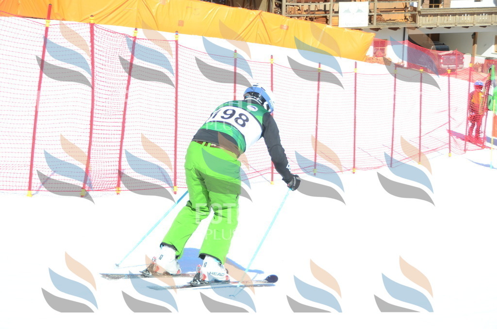 C6599 | holidayphoto