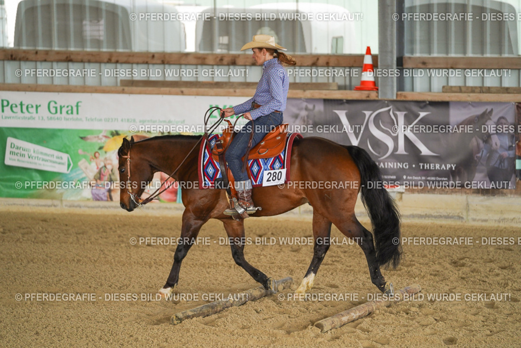 DSC03318 | Pferdegrafie