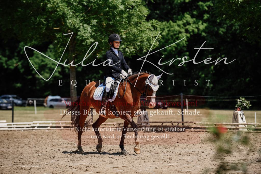 DSC_1925 | Pferde- und Turnierfotografie in Westsachsen. Pferdeportraits, Auftragszeichnungen und intuitive Kunst.