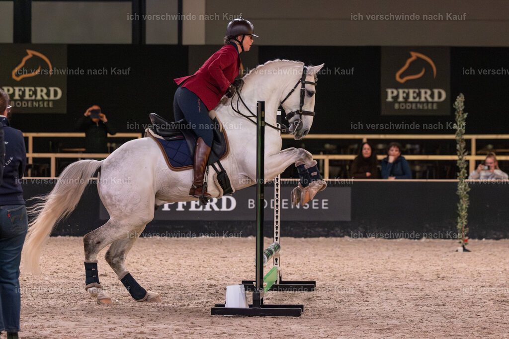 JoseraCup-99 | working equitationturnier fotograf videograf stoibphotography marixx film working equitation deutschland reitsport turnierfotografie eventfotografie equestrian events